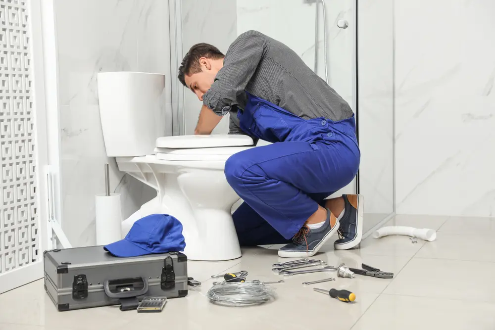 Toilet Repair in Ozark